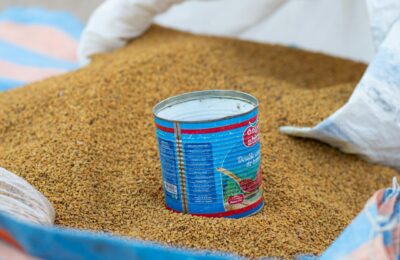 Foenegriek (Fenugreek): Your Complete Spice Guide