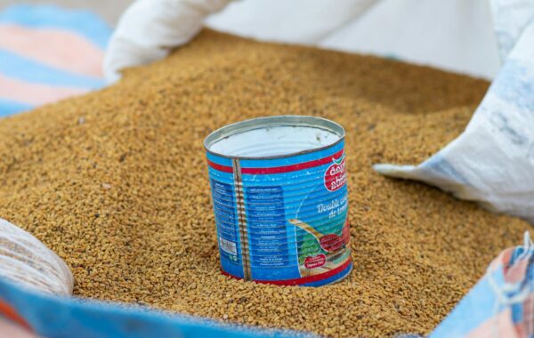 Foenegriek (Fenugreek): Your Complete Spice Guide