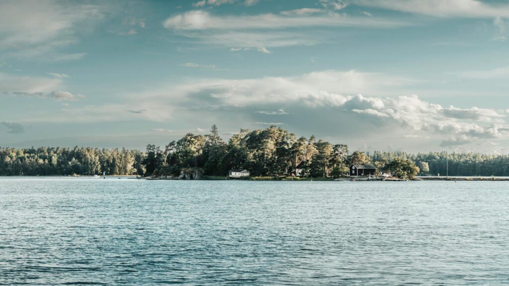 Finnish loan approval