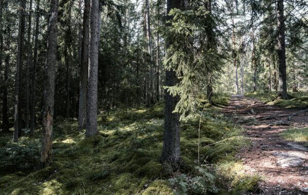 Onnilaina: The Finnish Way to Borrowed Happiness