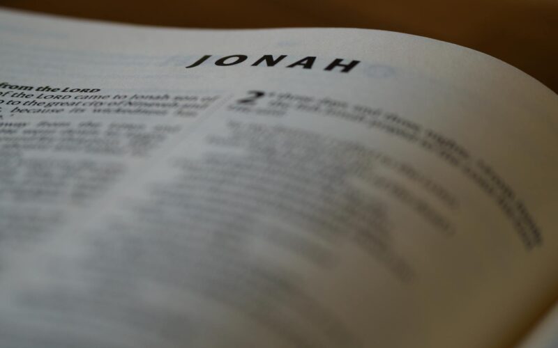 Jonah Halle Close Friendship: What We Know in 2026