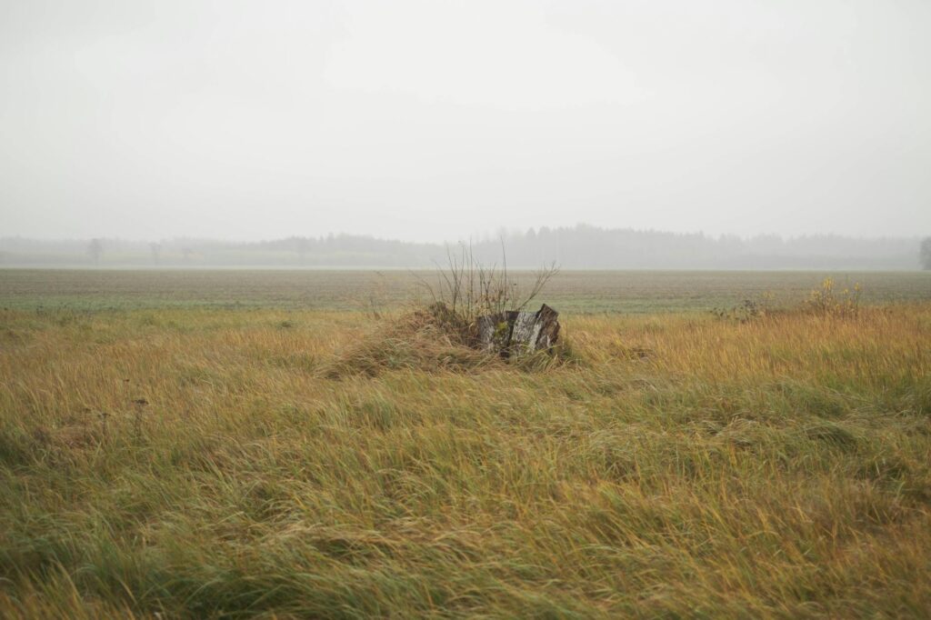 kulutusluotto ilman vakuuksia