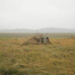 kulutusluotto ilman vakuuksia