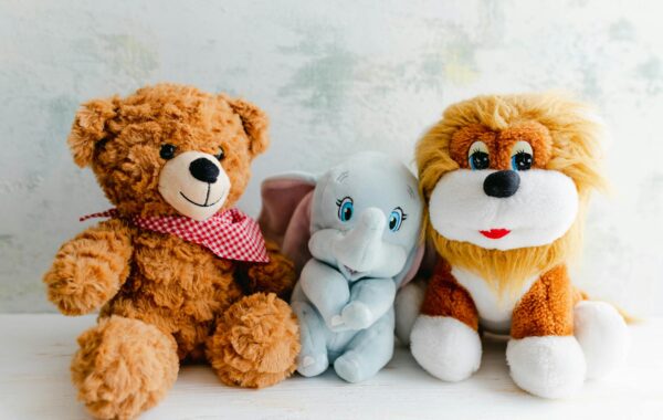 Catsiepants: Your Guide to Feline Friends