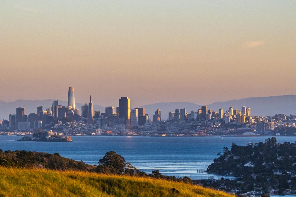 Silicon Valley AI startups