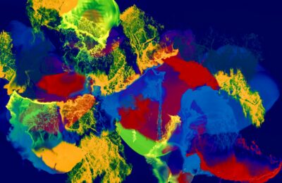 EEOME: Your Essential Guide to Understanding