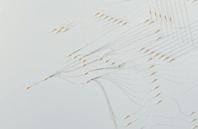 GMHIW: The Essential Guide You Need