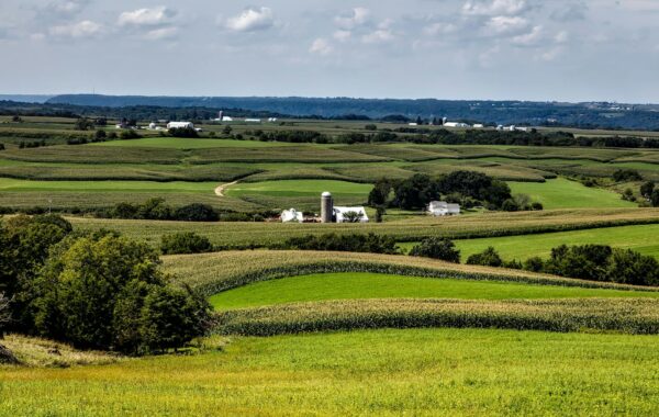 Amy Sherrill: A Deep Dive Into Her Impactful Work