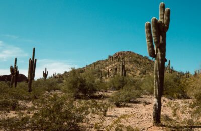 Arizona Time Zone: Understanding DST & Local Times