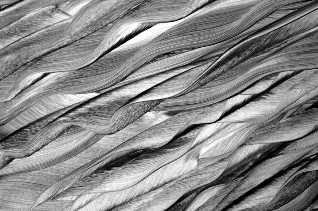 asbestlint fibers microscopic