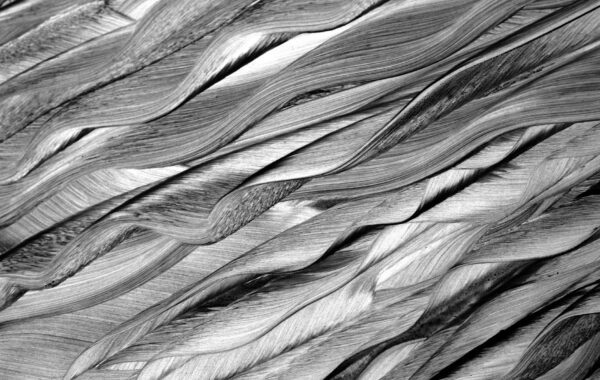 Asbestlint: Your Complete Guide to Identification & Safety