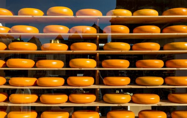 Babybel: Your Ultimate Guide to the Little Cheese Delight