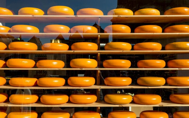 Babybel: Your Ultimate Guide to the Little Cheese Delight