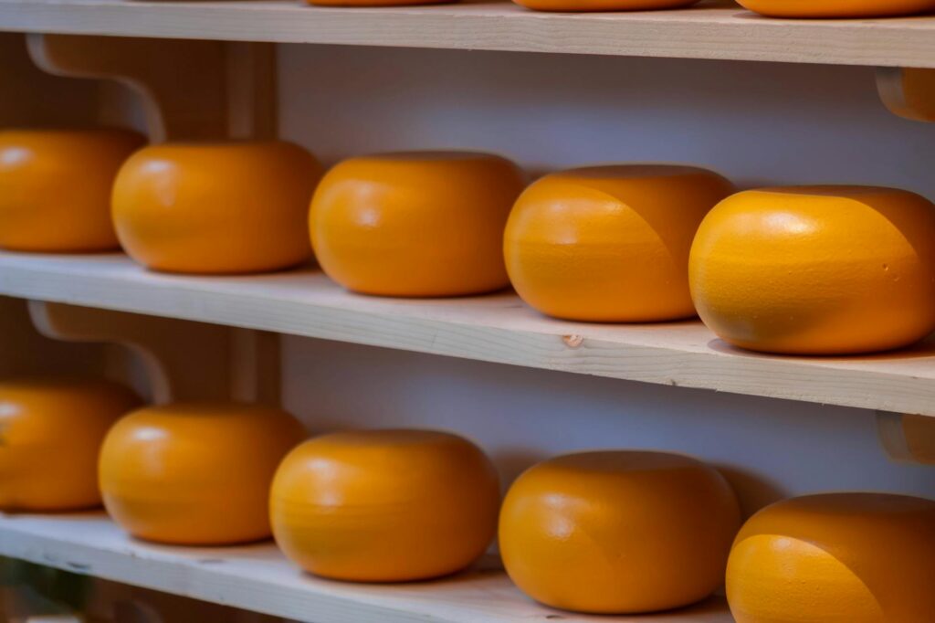 babybel cheese origin France