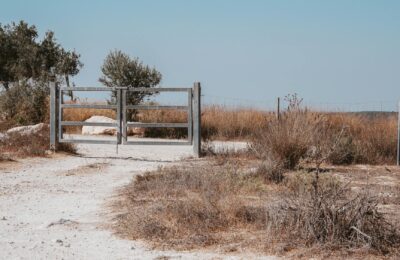 Beit Bart: Your Expert Guide to Understanding