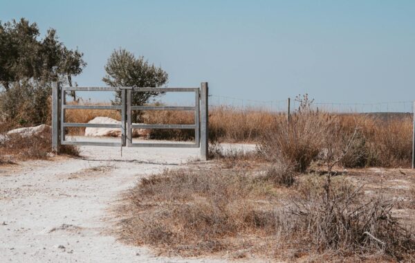 Beit Bart: Your Expert Guide to Understanding