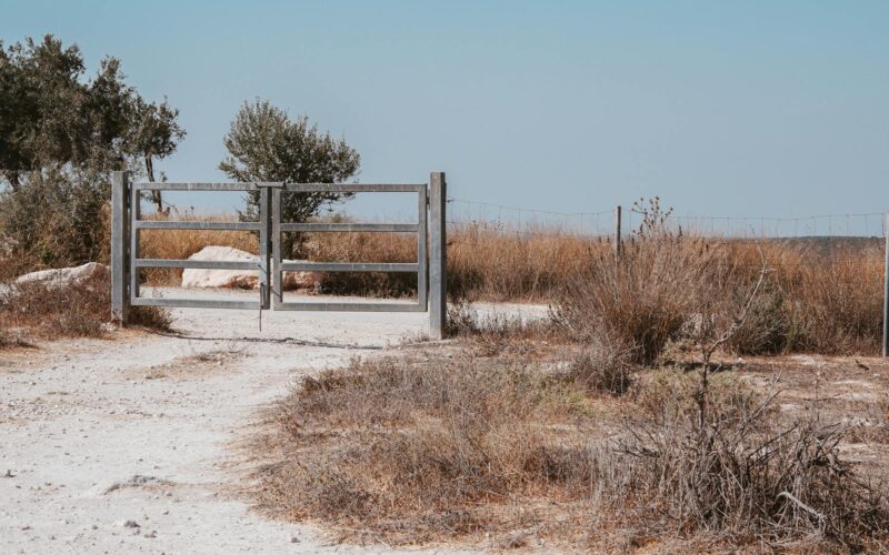 Beit Bart: Your Expert Guide to Understanding