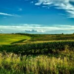 central Iowa skyline