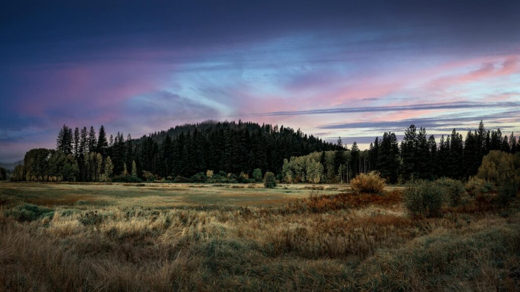 Cole Manness abstract painting