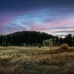 Cole Manness abstract painting