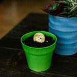 cryptocurrency growth strategy