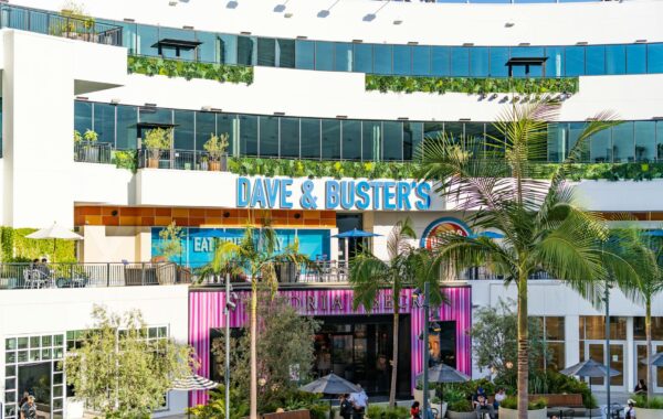 Ibrahim Chappelle: Who Is He & What’s His Story?