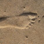 digital footprint abstract