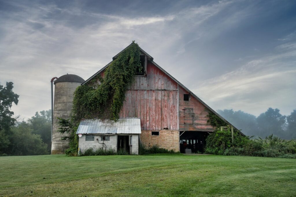 Garret Barnes innovation