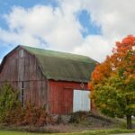 Garret Barnes professional portrait