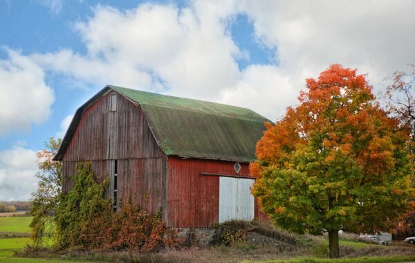 Garret Barnes: Your Comprehensive 2026 Guide