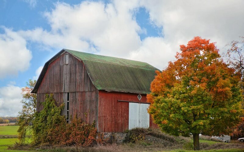 Garret Barnes: Your Comprehensive 2026 Guide