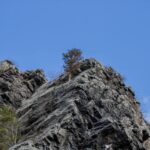 Harper Zilmer portrait