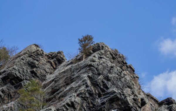 How Old Is Harper Zilmer? Her Age and Career in 2026