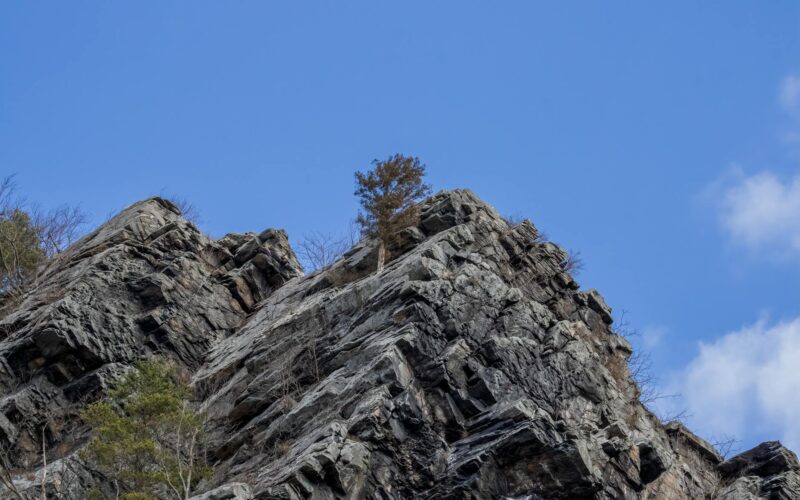 How Old Is Harper Zilmer? Her Age and Career in 2026