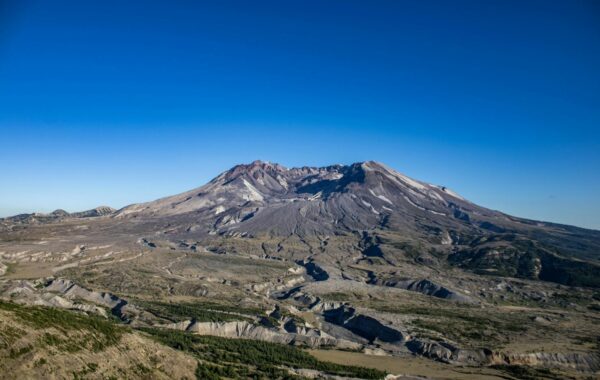 Helen Labdon: Who Is She & Her Inspiring Story?