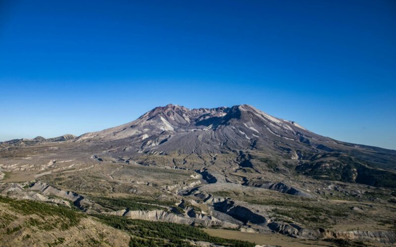 Helen Labdon: Who Is She & Her Inspiring Story?