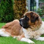 Jean-Bernard Fernandez-Versini portrait