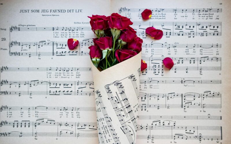 Liv Freundlich: A Comprehensive Guide to Her Career