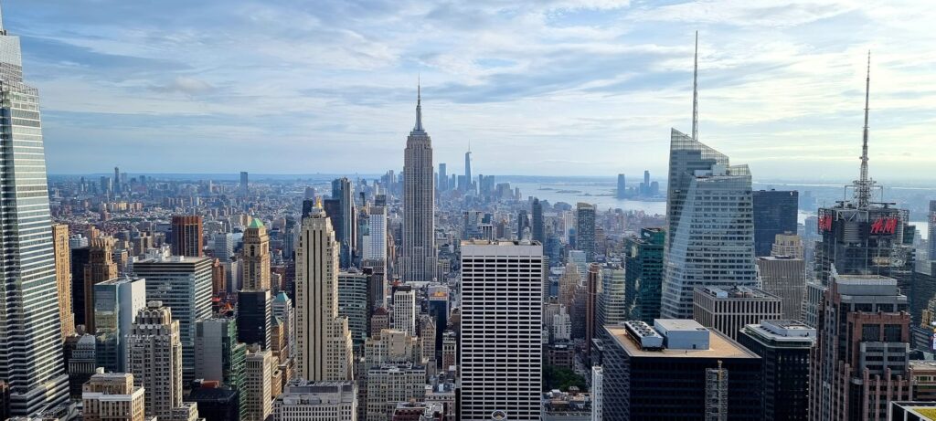 New York Times newspaper clipping with prickly pear illustration