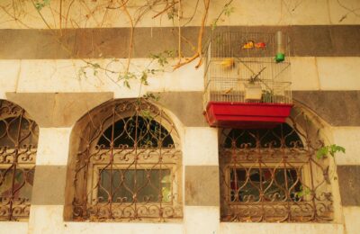 Nicolas Cage’s Wives: A Look at His Marriages & Relationships