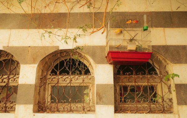 Nicolas Cage’s Wives: A Look at His Marriages & Relationships