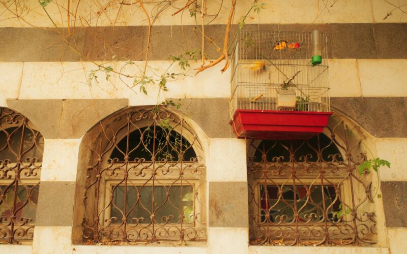 Nicolas Cage’s Wives: A Look at His Marriages & Relationships