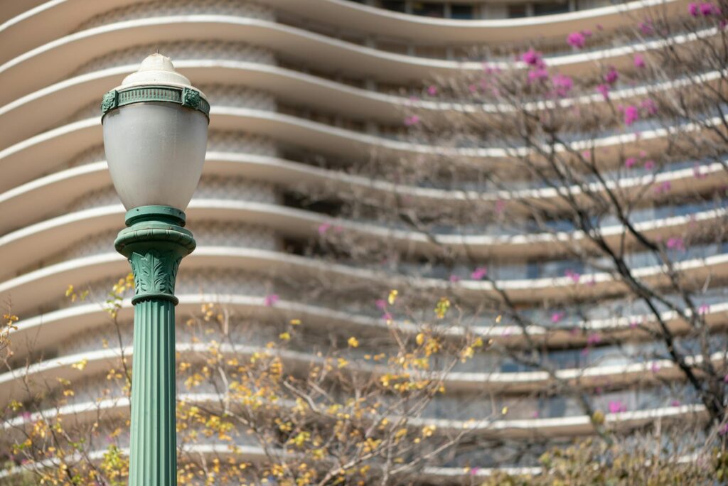 Oscar Maximilian Jackman artwork