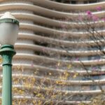 Oscar Maximilian Jackman artwork