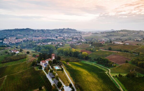 Area Code 336: Your Central North Carolina Guide (2026)