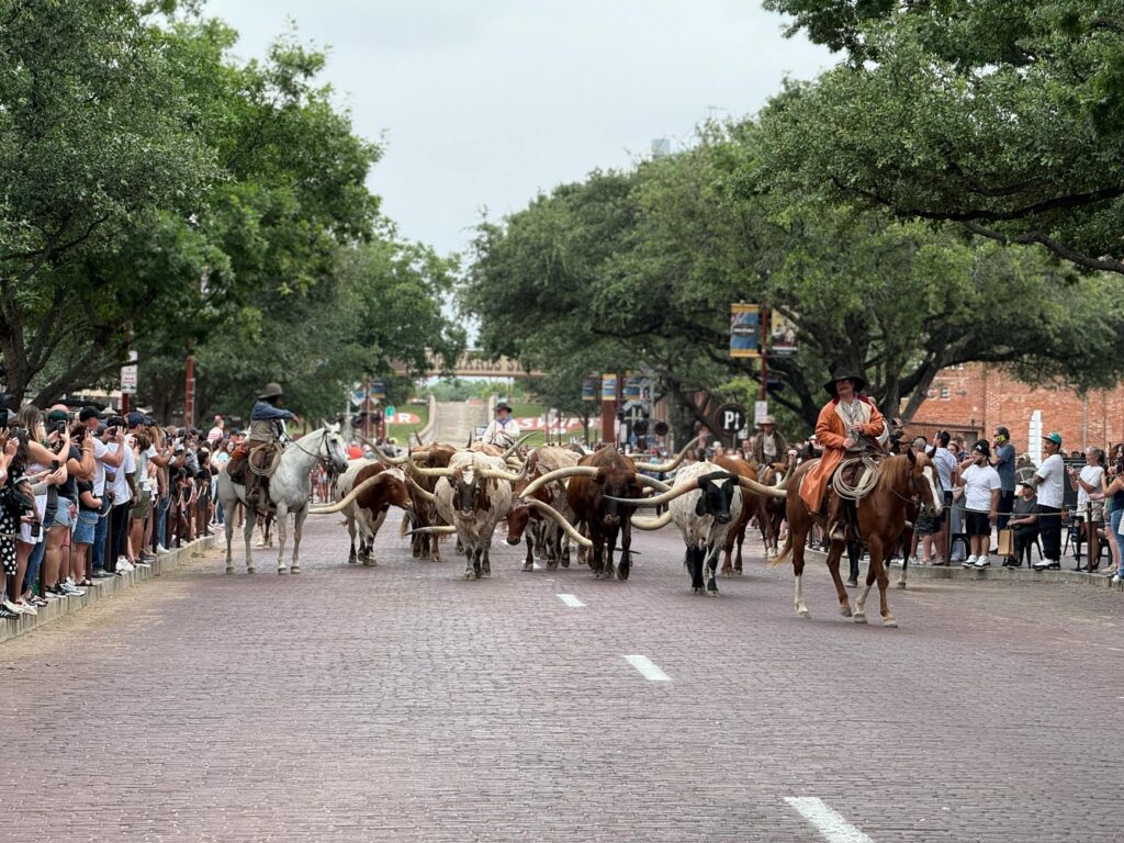West Texas landscape phone