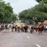 West Texas landscape phone