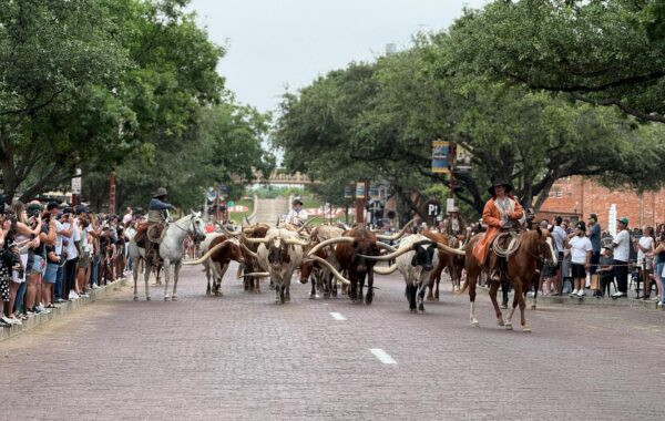 915 Area Code Texas: El Paso & West Texas Guide