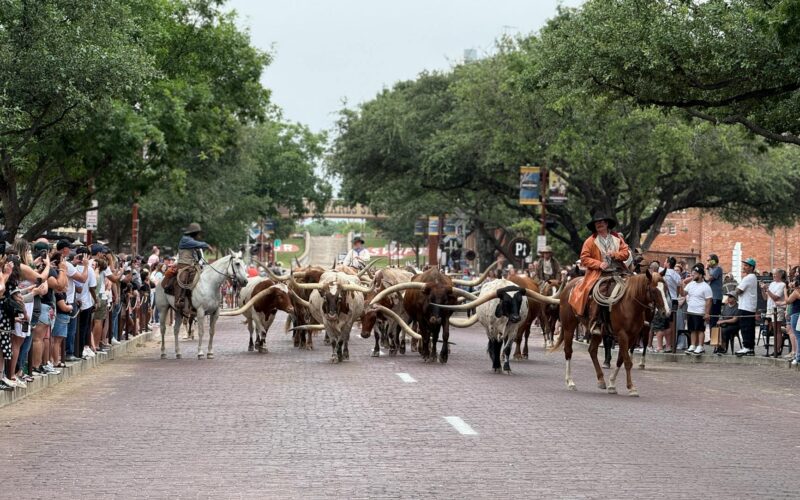 915 Area Code Texas: El Paso & West Texas Guide