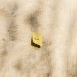 You Have Done Well cast photo